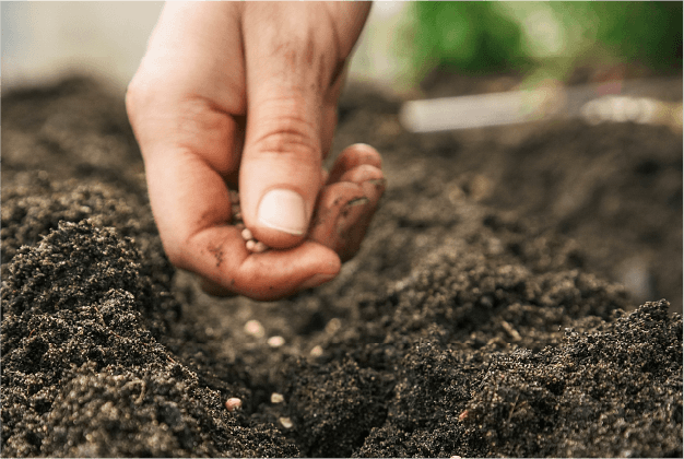 The Gurney's Safe Seed Pledge