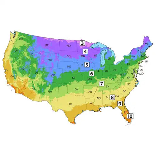 Zone Finder